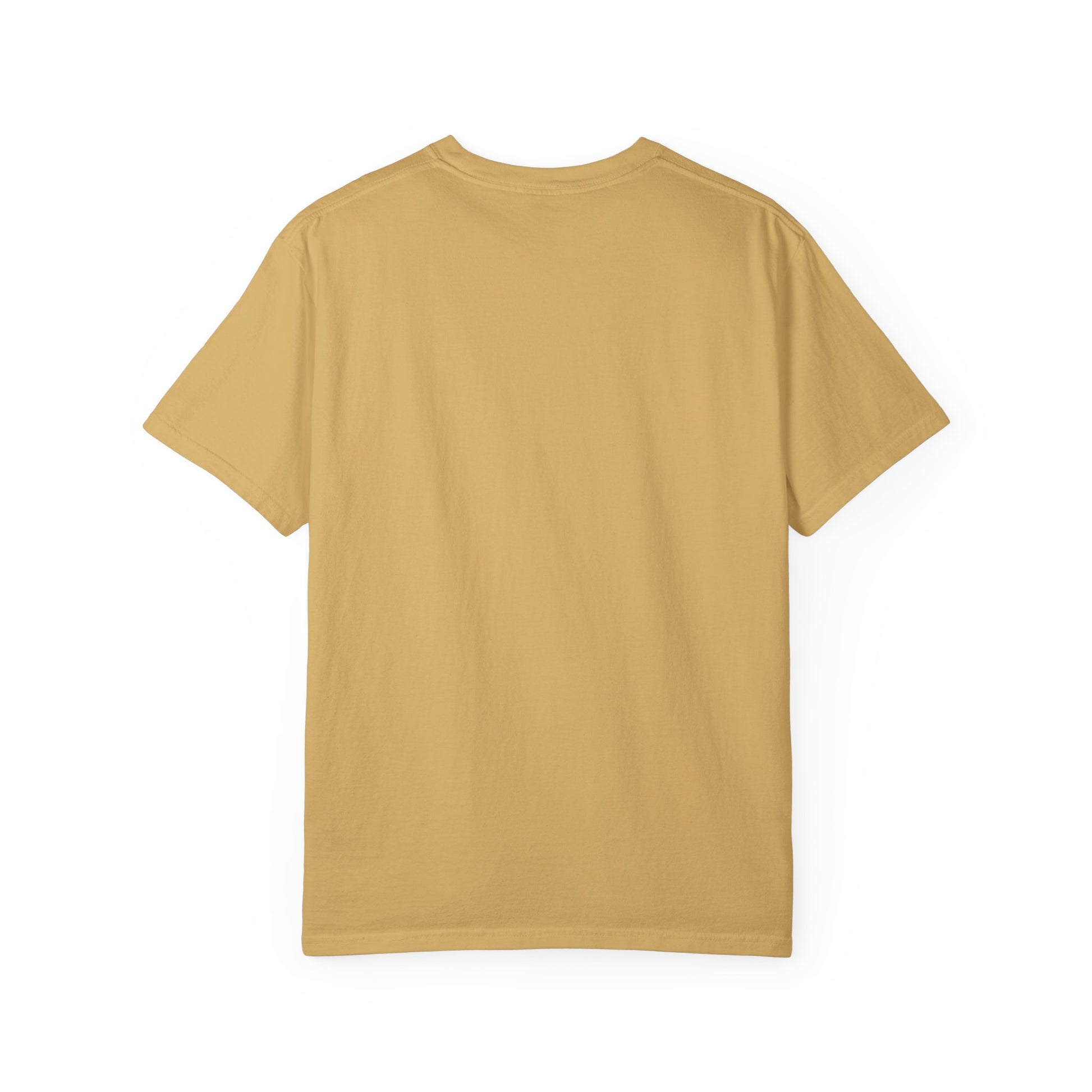 Unisex Motivational T-Shirt | Salvation Education Preservation